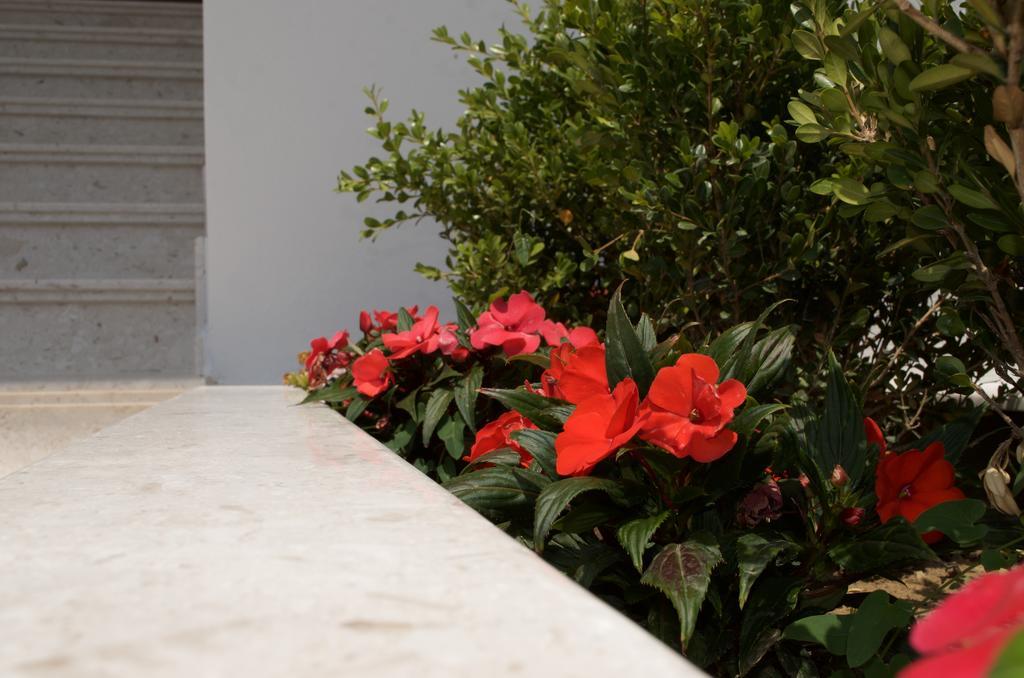Flo Apartments Ülgün Dış mekan fotoğraf